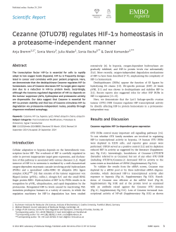 7B) regulates HIF-1a homeostasis in Cezanne (OTUD a proteasome-independent manner Scientific Report