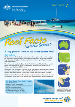 1 A “big picture” view of the Great Barrier Reef Size matters REEF