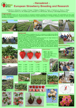 - Hansabred - European Strawberry Breeding and Research