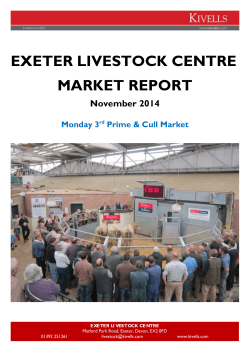 EXETER LIVESTOCK CENTRE MARKET REPORT November 2014