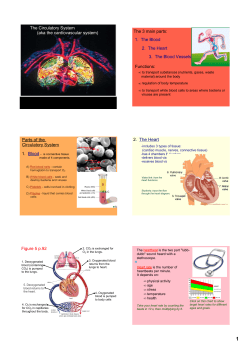  The Circulatory System   (aka the cardiovascular system) The 3 main parts: Functions: