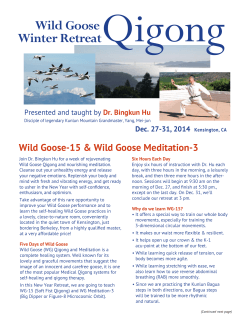 Qigong Wild Goose Winter Retreat Wild Goose-15 &amp; Wild Goose Meditation-3
