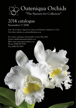 Outeniqua Orchids  2014 catalogue “The Nursery for Collectors”