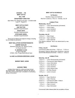 BEEF CATTLE SChEDuLE DIVISION BEEF CATTLE 1st Session