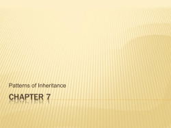 CHAPTER 7 Patterns of Inheritance