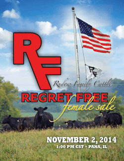 REGRET FREE november 2, 2014 female sale Rudow Family Cattle