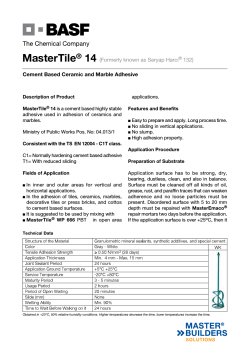 MasterTile 14 ® (Formerly known as Seryap Harcı
