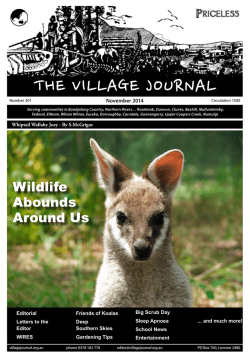 THE VILLAGE JOURNAL November 2014