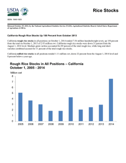 Rice Stocks