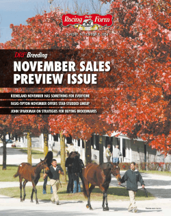 november sales preview issue