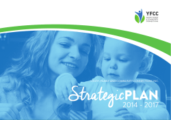 Strategic PLAN 2014 - 2017 1