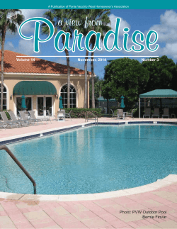 Paradise a view from Photo: PVW Outdoor Pool Bernie Finvar
