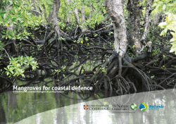 Mangroves for coastal defence Guidelines for coastal managers &amp; policy makers