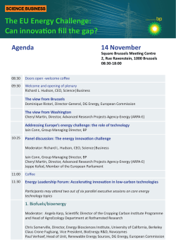 The EU Energy Challenge: Can innovation fill the gap? 14 November Agenda