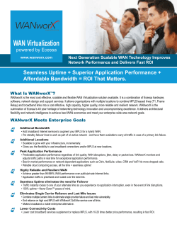 WAN Virtualization Seamless Uptime + Superior Application Performance + powered by Ecessa