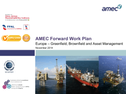 AMEC Forward Work Plan – Greenfield, Brownfield and Asset Management Europe November 2014