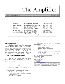 The Amplifier