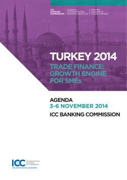 TURKEY 2014 TRADE FINANCE: GROWTH ENGINE FOR SMEs