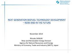 November 2014 Ritsuko SANUKI New and Renewable Energy Division