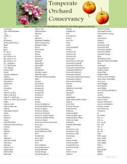 Apple Varieties from the Nick Botner Collection and other generous...