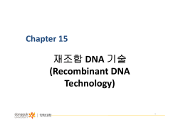 DNA  (Recombinant DNA  Technology) Chapter 15