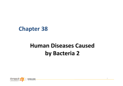 Chapter 38 Human Diseases Caused  by Bacteria 2 1