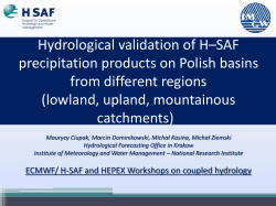 Hydrological validation of H–SAF precipitation products on Polish basins from different regions