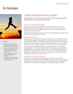 Custom Development &amp; Support Serving Your Specialized Needs