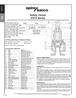 Safety Valves SV73 Series Regulators