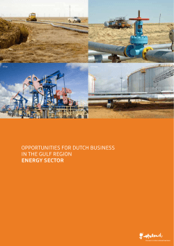OPPORTUNITIES FOR DUTCH BUSINESS IN THE GULF REGION ENERGY SECTOR © AlexKZ