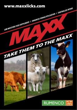 www.maxxlicks.com