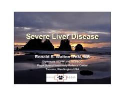 Severe Liver Disease Ronald S. Walton DVM, MS Diplomate ACVIM and ACVECC