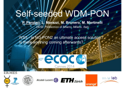 Self-seeded WDM-PON ERMES WS5 - Is NG-PON2 an ultimate access solution?