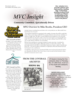 MVC Insight