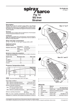 Fig 12 SG Iron Strainer TI-P163-01