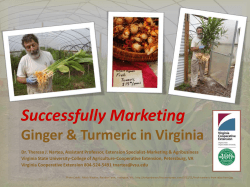 Successfully Marketing  Ginger &amp; Turmeric in Virginia