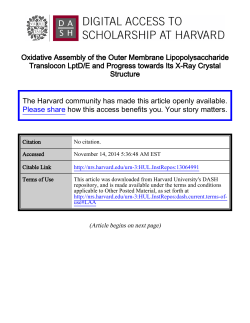 Oxidative Assembly of the Outer Membrane Lipopolysaccharide