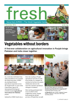 Vegetables without borders