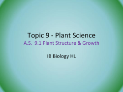 Topic 9 - Plant Science IB Biology HL