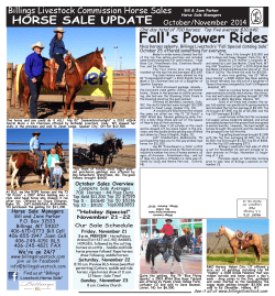 HORSE SALE UPDATE Billings Livestock Commission Horse Sales October/November 2014