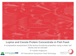 Lupine and Canola Protein Concentrate in Fish Feed: