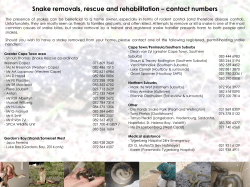 Snake removals, rescue and rehabilitation – contact numbers