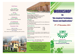 WORKSHOP On “Bio-inspired Techniques: Theory and Applications”