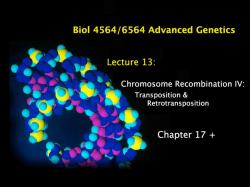 Lecture 20  DNA Repair and Genetic Recombination