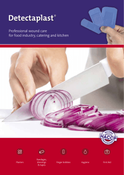 Professional wound care for food industry, catering and kitchen Bandages, Plasters