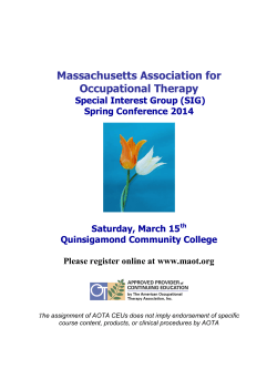 Massachusetts Association for Occupational Therapy Special Interest Group (SIG)