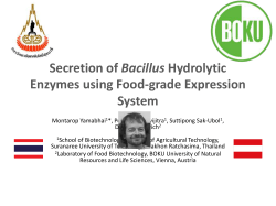 Bacillus Enzymes using Food-grade Expression System