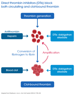 Direct thrombin inhibitors (DTIs) block both circulating and clot-bound thrombin Thrombin generation
