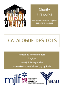 CATALOGUE DES LOTS Charity Fireworks