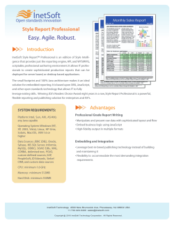 InetSoft Easy. Agile. Robust. Style Report Professional Introduction